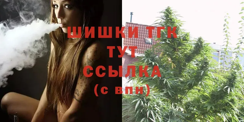 где купить наркоту  Чебоксары  Конопля Ganja 